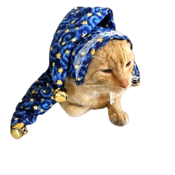 Hand Crafted Pet Witch Hat Funny Halloween Costume Cats Dogs Handmade Festive XL - Picture 3 of 17